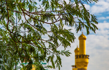 Imam Hussein Ibn Ali Ibn Abi Talib's wife in Karbala, Iraq
