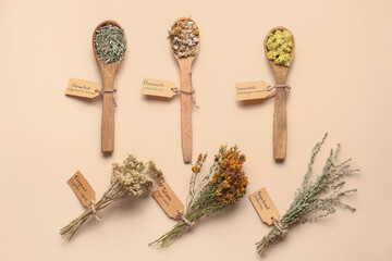 Composition with different herbs on color background
