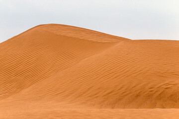 Bend of the ridge of a sand dune in the desert