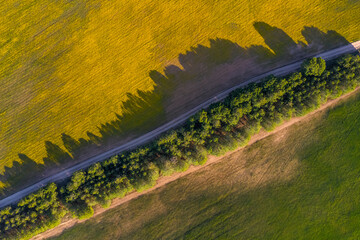 Aerial Zenith views of forest, fields and old wooden bridge