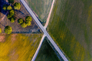 Aerial Zenith views of forest, fields and old wooden bridge