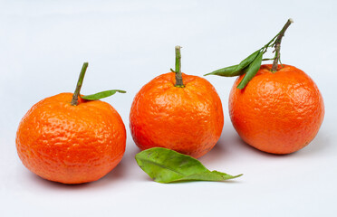 tangerines with green leaves in a row