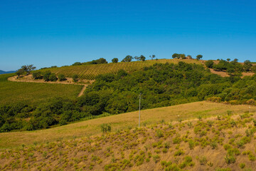 The late summer landscape near Scansano, Grosseto Province, Tuscany, Italy
