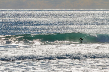 surf11