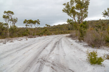 Landscape along a sandy road north of Denmark in Western Australia