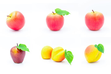 Tropical fruit set isolated on  white background