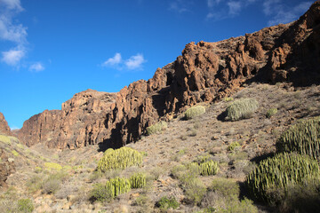 Gran Canaria, landscapes along the hiking route around the ravive Barranco Hondo, The Deep Ravine...