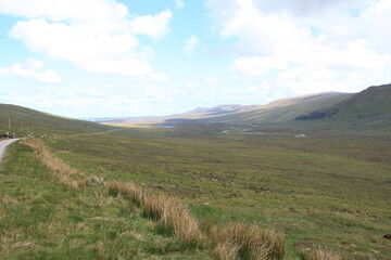 Fototapeta premium Beautiful scenery in Scotland with gras 