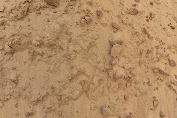 Dry lake in the process of drought and lack of rain or moisture. Dried lake under the impact of climate change and drought. Water crisis at africa or ethiopia. Drainage of swamp for peat extraction