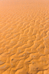 Dunes, Swakopmund, Namib desert, Namibia, Africa