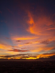 A cloud phoenix coming with grace