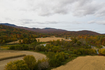 Corn Field - Vermont