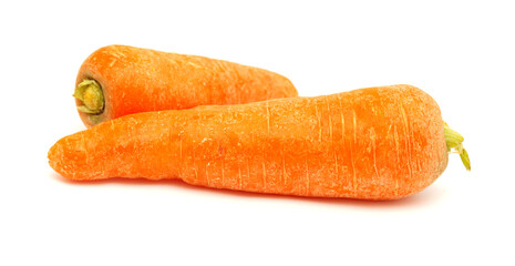 Large soil grown carrots isolated on white background 
