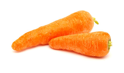 Large soil grown carrots isolated on white background 
