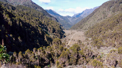 Scenic view of the wooden footpath at Bujuku Valley in the Rwenzori Mountains, Uganda