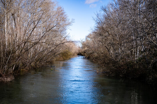 Naturaleza en el parque de la mitjana en lleida durante invierno