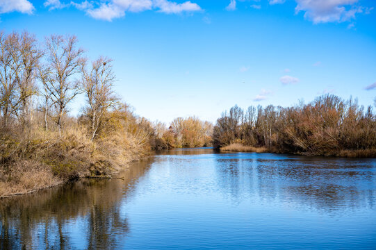 Naturaleza en el parque de la mitjana en lleida durante invierno