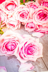 pink roses on table