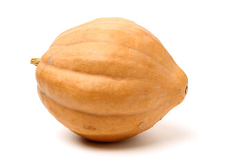 Orange pumpkin on white background 