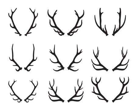 set of black deer antlers - vector illustration