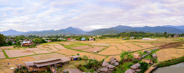 Panorama View of Rice Field at Phuket Temple
