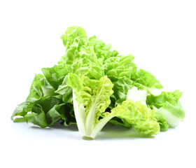 fresh napa cabbage leaf on white background