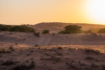 Fototapeta na wymiar Landscape shot of a desert in afternoon. Outdoors