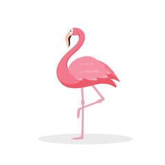 Pink flamingo isolated on white background.Exotic tropical birds characters. Vector stock