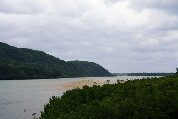 Fototapeta na wymiar 西表島の手つかずの自然の大地と生い茂るマングローブの風景