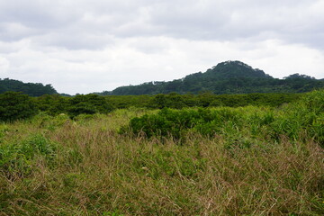 南国の緑豊かな山と高原