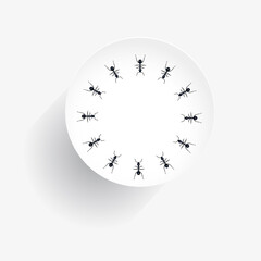 Infoteller Ameisenring 1