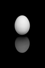 Organic simple egg in black and white with reflection.