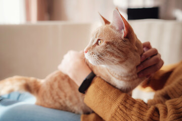 Young woman resting with pet in sofa at home.