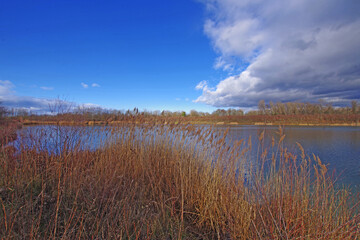 Balade hivernale au parc de Miribel Jonage