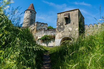 Ansicht durch hohes Gras auf eine alte Burg Ruine