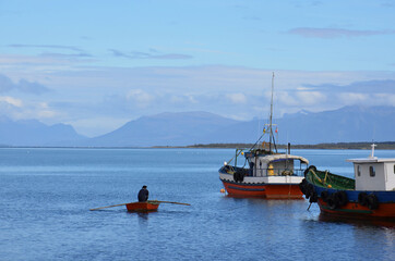 Ruder-Bootsfahrer in einer Bucht in 
Punta Arenas in Patagonien.