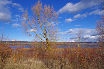 Balade hivernale au parc de Miribel Jonage