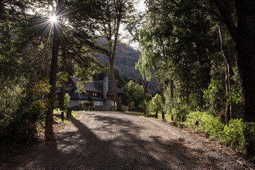 Fototapeta premium Path in the woods against sunlight in Los Alerces National Park, Patagonia, Argentina