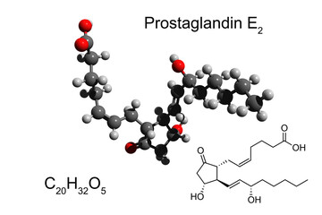 Chemical formula, skeletal formula and 3D ball-and-stick model of prostaglandin E2 (dinoprostone), white background