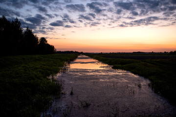 Small river in a field with green swamp water on sunset background in summer season. Wetlands declining and under threat. The problem of ecology and drainage of rivers and swamps