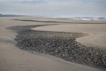 Fotobehang Strandgezicht met kronkelend licht en donker zand met uitzicht op de Noordzee © Koos