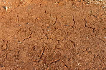 Drainage of swamp for peat extraction. Dry lake in the process of drought and lack of rain or moisture. Dried lake under impact of climate change and drought. Water crisis and ecological catastrophy