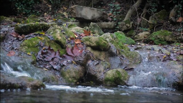 Travelling of Waterfall detail from Argens river in autunm season in Cotignac, Provence, France