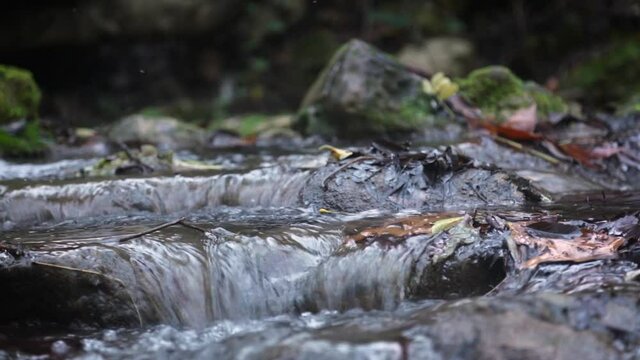 Travelling of Waterfall detail from Argens river in autunm season in Cotignac, Provence, France