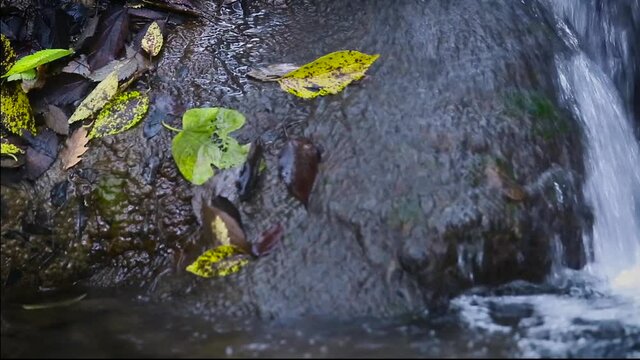 Travelling of Waterfall detail from Argens river in autunm season in Cotignac, Provence, France