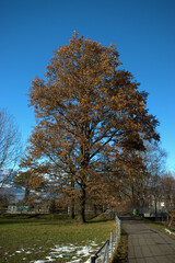 Vaduzer Landschaft in Liechtenstein 16.12.2020