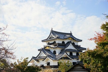 Hikone Castle with red and yellow foliage in Hikone City of Shiga, Japan - 日本 滋賀県 彦根城 秋 紅葉