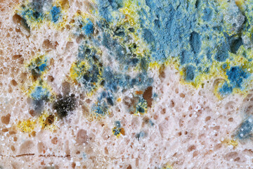 Background of a mouldy bread