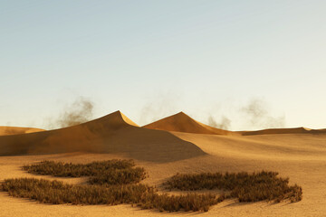Gräser vor Düne in Sahara Wüste in Afrika