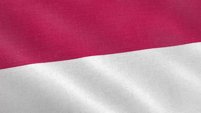 Monaco flag wind blowing full frame background